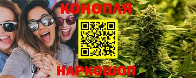 дживик Будённовск