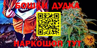 дживик Будённовск