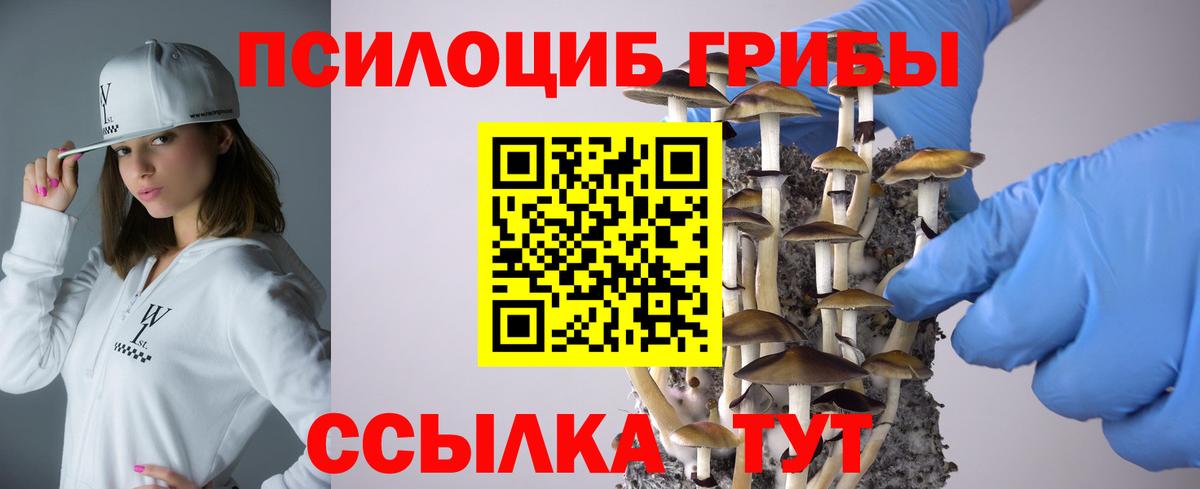 наркошоп  Псилоцибиновые грибы мухоморы  Вход с VPN  Псилоцибиновые грибы MAGIC MUSHROOMS  Кострома 