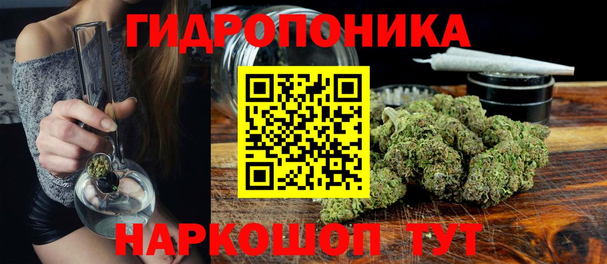Конопля план  Каннабис индика  Шишки марихуана индика  Кострома  Вход с VPN 